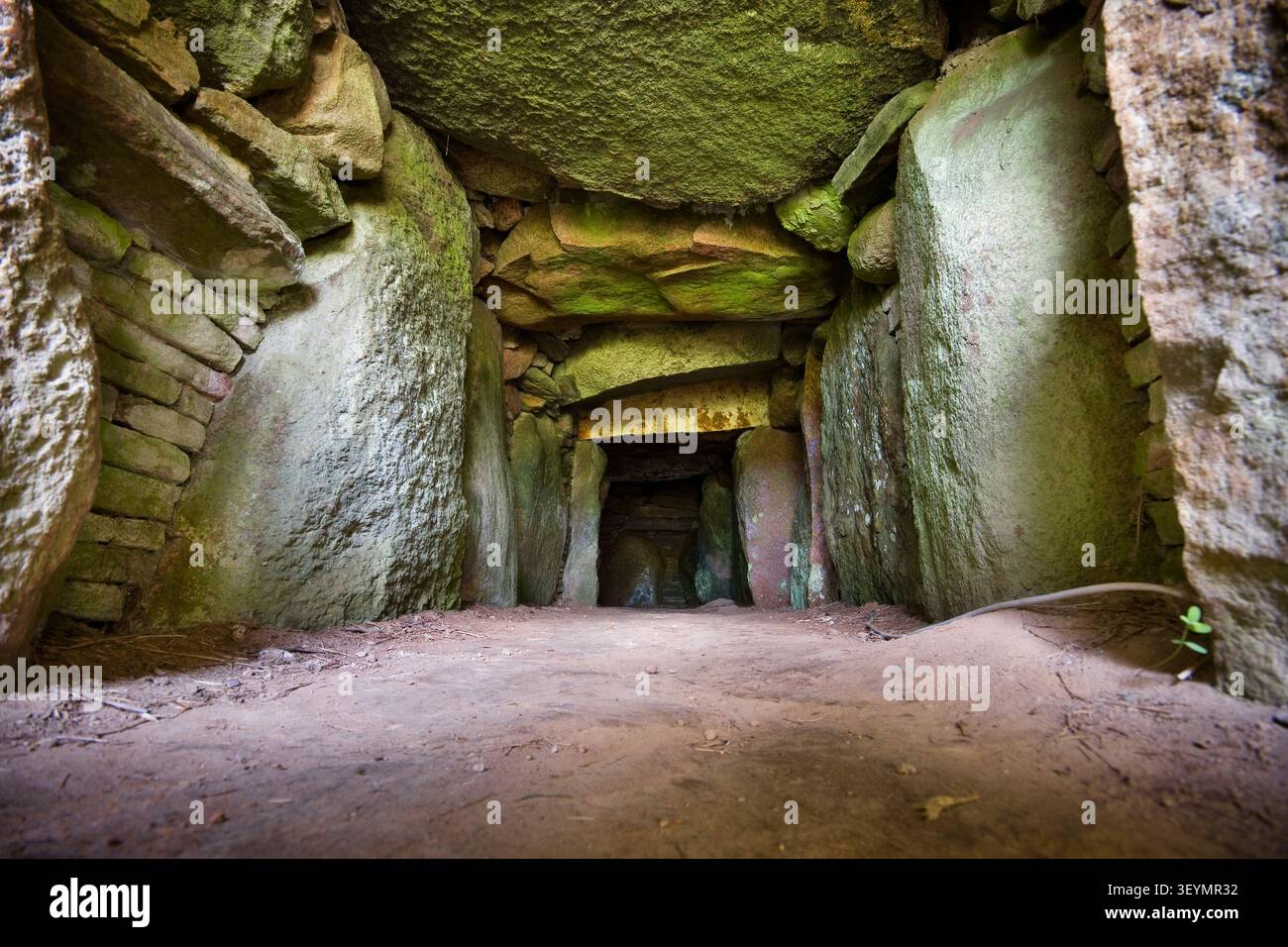 Klekkende Høj tomba megalitica sull'isola di Møn in Danimarca Foto Stock