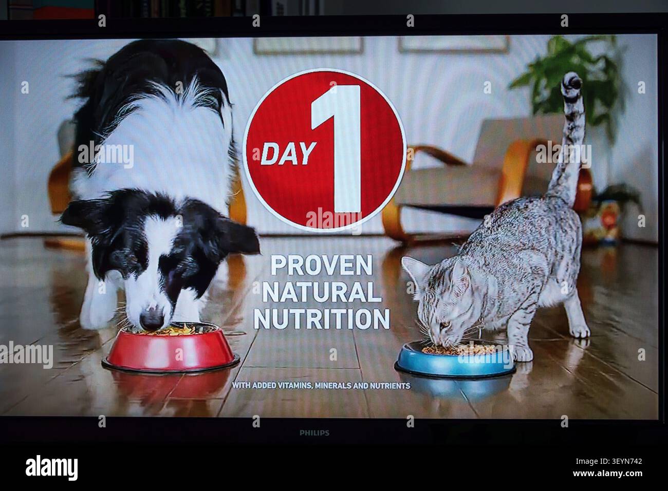 Monitor televisivo via cavo, Purina One, cibo per animali, cibo per cani, cibo per gatti, nutrizione per animali, nutrizione naturale, cibo per animali, cibo per cani, cibo per gatti, f Foto Stock