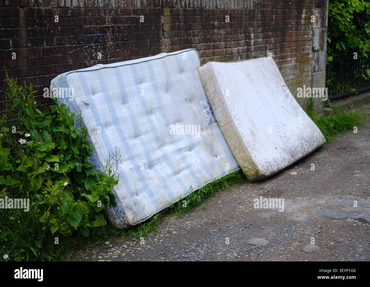 Vecchi materassi con la punta "Fly-Tipped" (gettati) in un vicolo nel Regno Unito Foto Stock