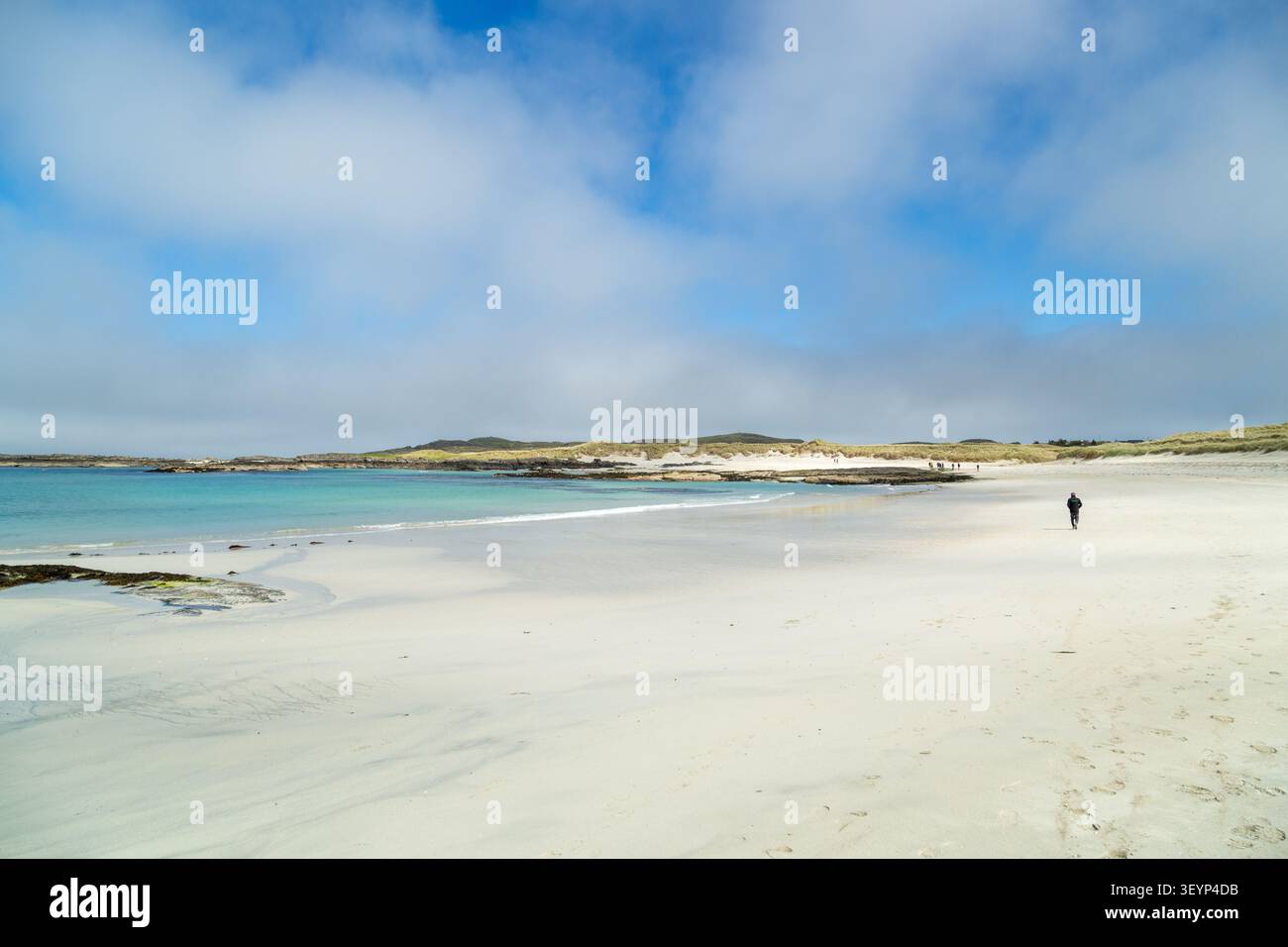 Sanna Bay, nella regione delle Highland scozzesi, la sabbia bianca e le limpide acque turchesi la rendono una delle migliori spiagge dello Scotlands. Foto Stock
