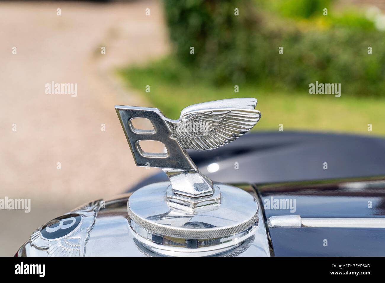 Primo piano dell'emblema argentato di un'auto Bentley, le ali che ritornano dalla lettera B che si sporge in avanti sul cofano dell'auto o sul cofano. Sfondo sfocato. Foto Stock