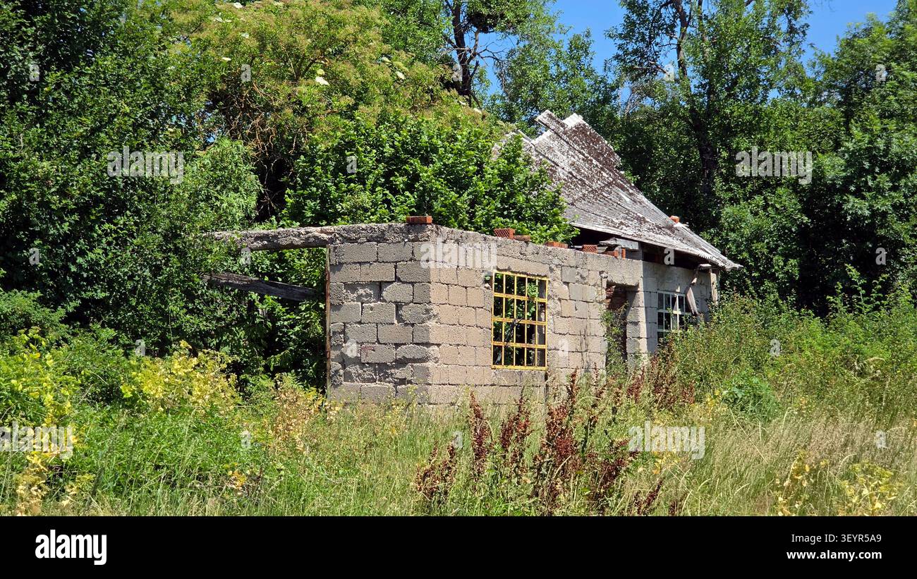 Un edificio in cemento con un tetto danneggiato e una cornice gialla della finestra è abbandonato tra fitti alberi verdi e vegetazione selvaggia Foto Stock