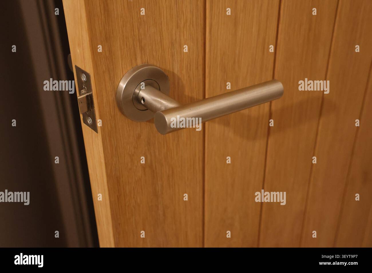 Una maniglia è mostrata in una porta di legno. Il manico è argento e ha una forma rotonda Foto Stock