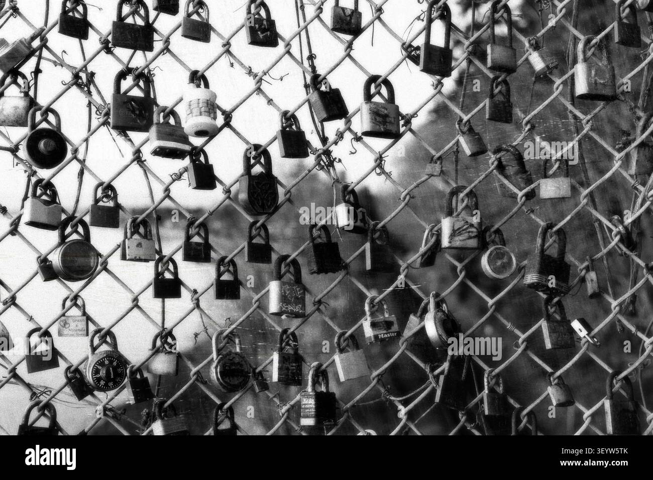 Close-up in bianco e nero di numerosi lucchetti dell'amore attaccati a una recinzione a maglia di ferro che simboleggiano il romanticismo e l'amore eterno Foto Stock