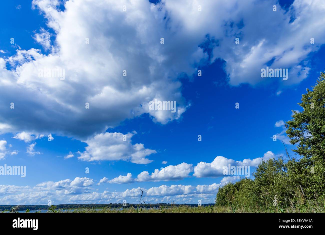 Paesaggio nuvoloso estivo con nuvole di cumulus sopra terreni agricoli aperti vicino allo storico villaggio degli artisti di Ferch sul lago Schwielowsee, Brandeburgo, Germania. Foto Stock