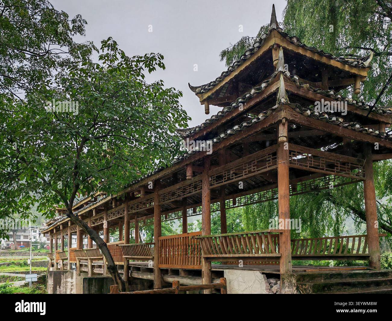 Ponte in legno tradizionale Buyi nel comune di Zhangbu, Pingtang, Guizhou - Architettura etnica classica in un ambiente rurale lussureggiante Foto Stock