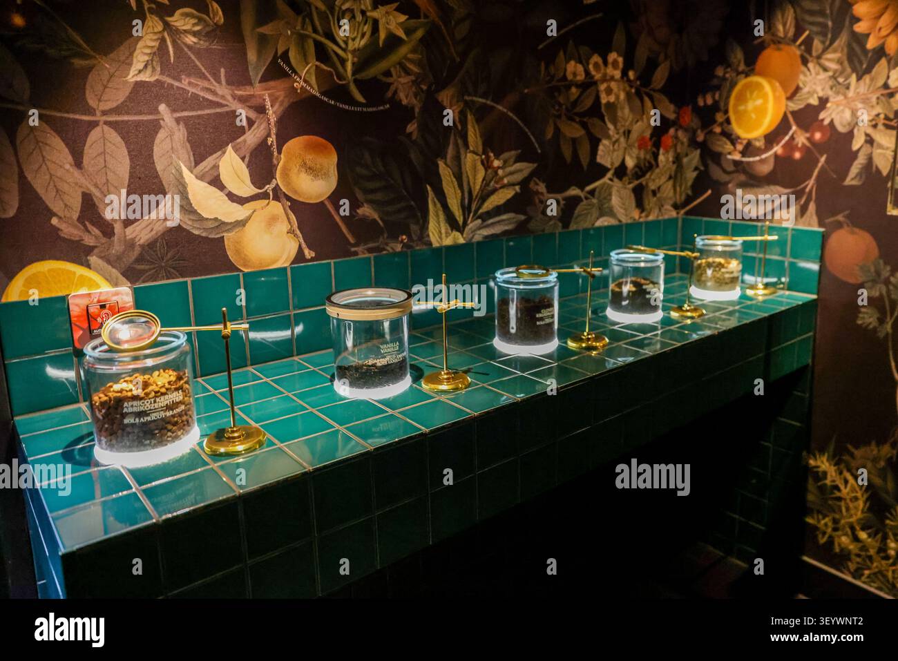 Una mostra botanica di un Mondo di Ingredienti nella Sala degli Ingredienti alla House of Bols Cocktail Experience di Amsterdam, Paesi Bassi. Foto Stock