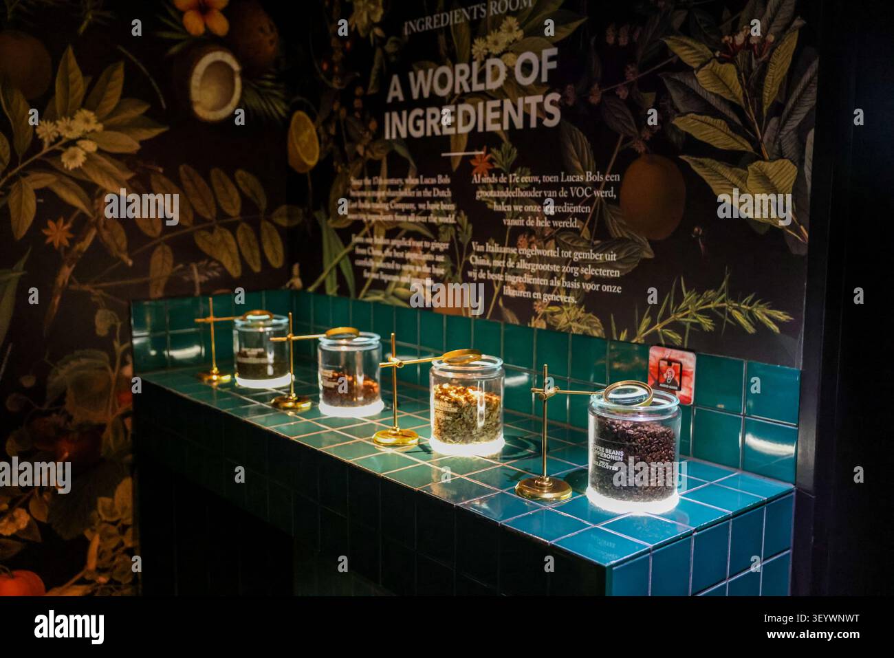 Una mostra botanica di un Mondo di Ingredienti nella Sala degli Ingredienti alla House of Bols Cocktail Experience di Amsterdam, Paesi Bassi. Foto Stock