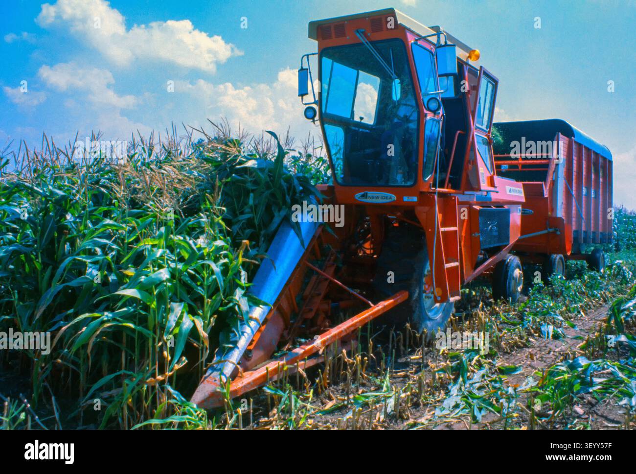 Nuova idea per trinciacaricatrice e trinciatura di carri per granturco per Sileage. Bloomfield, New York Foto Stock