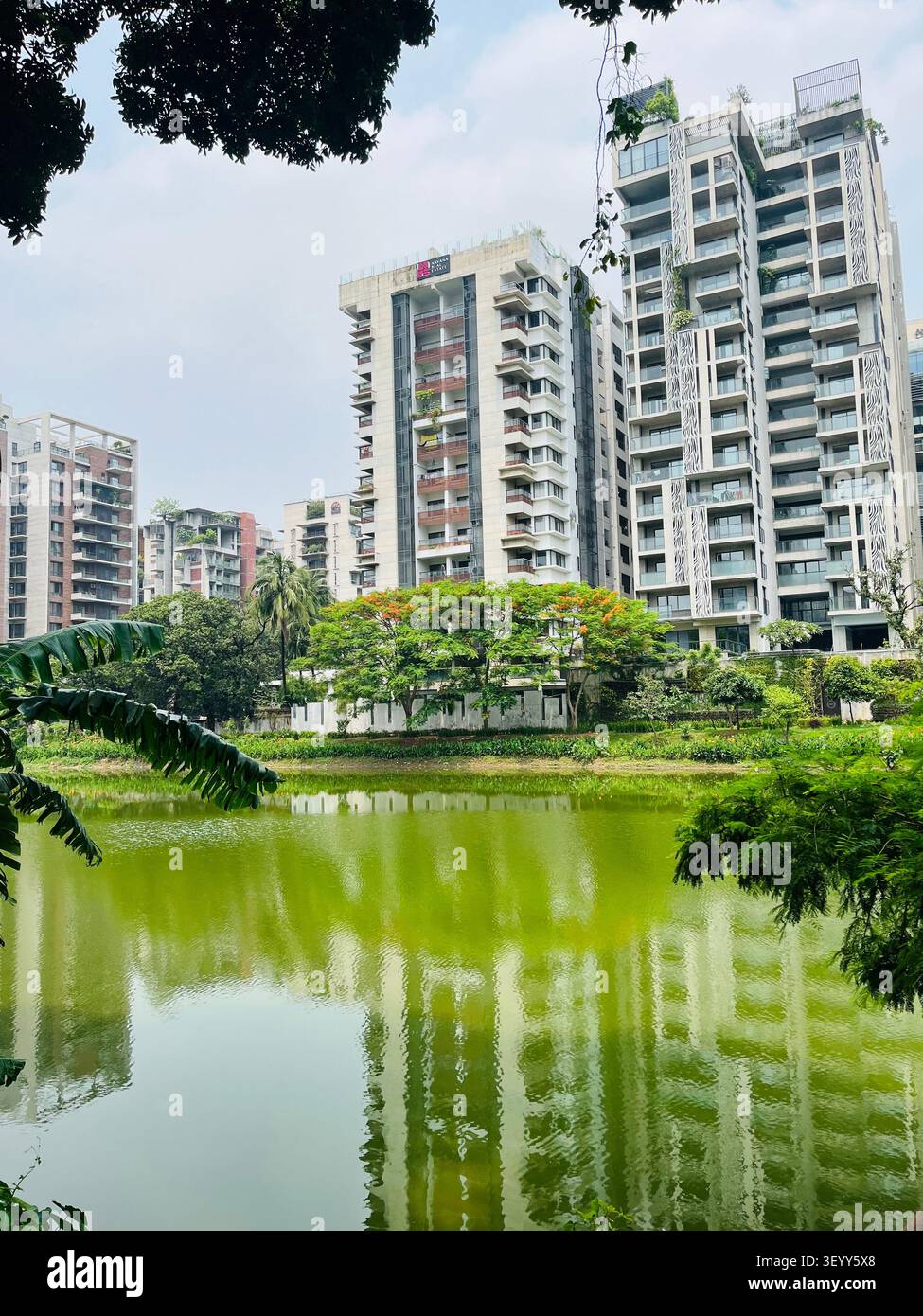 Moderni edifici residenziali affacciati su un tranquillo lago circondato da lussureggiante vegetazione a Dacca, Bangladesh. - Immagine stock catturata con smartphone