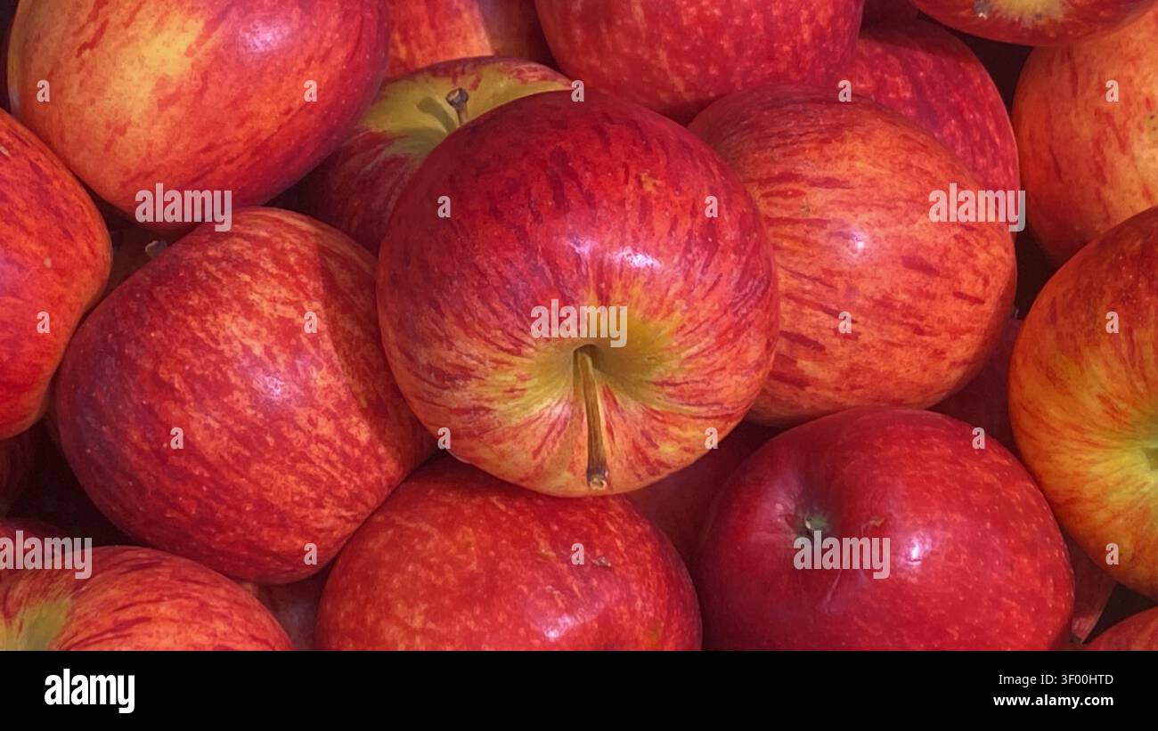 Mela rossa fresca con buccia liscia e colore naturale vibrante, raccolta e pronta da mangiare. Un frutto sano e nutriente Foto Stock