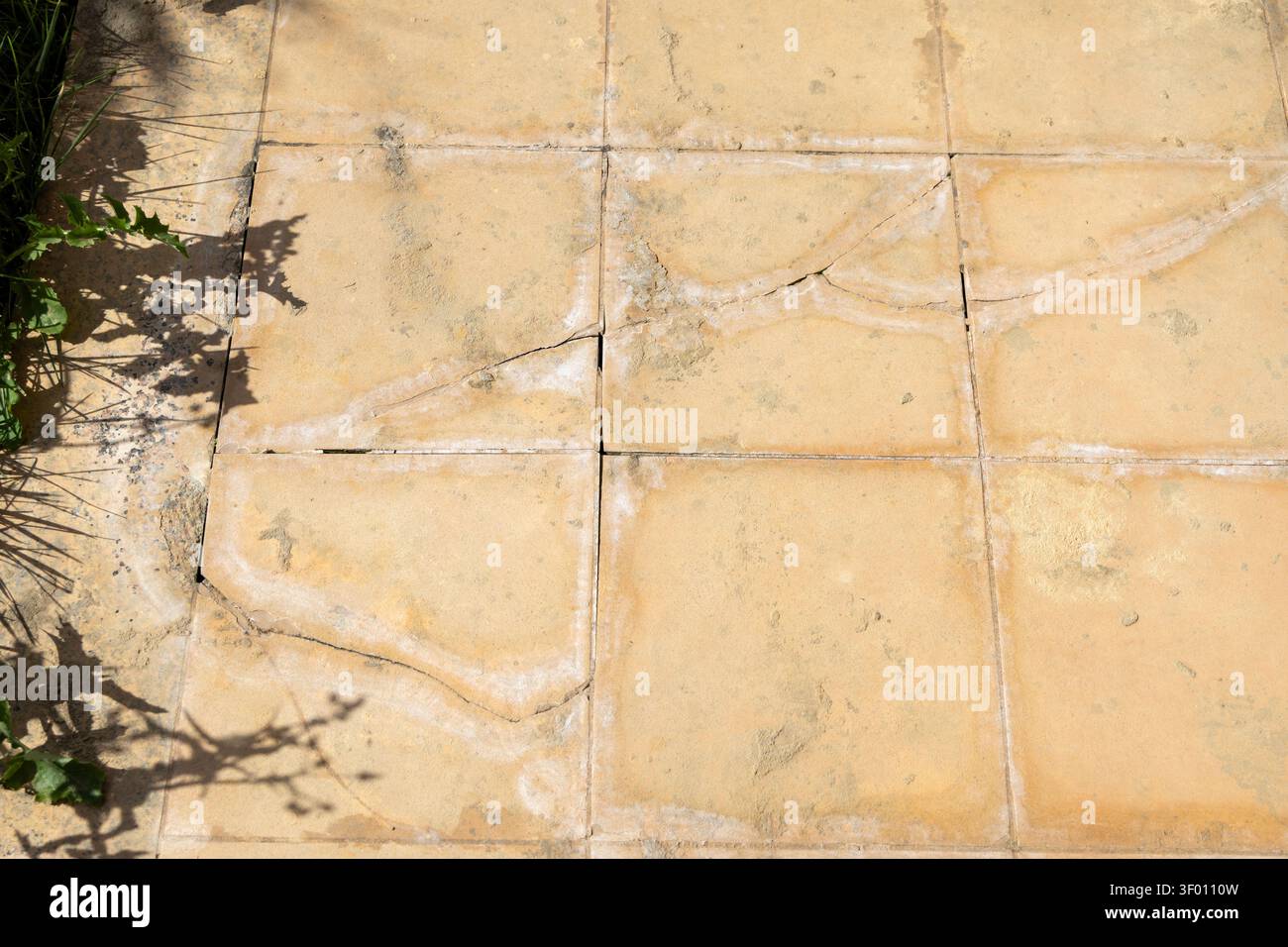 Vista ravvicinata delle piastrelle danneggiate del patio esterno che mostrano segni di usura, efflorescenza salina e vegetazione invadente Foto Stock