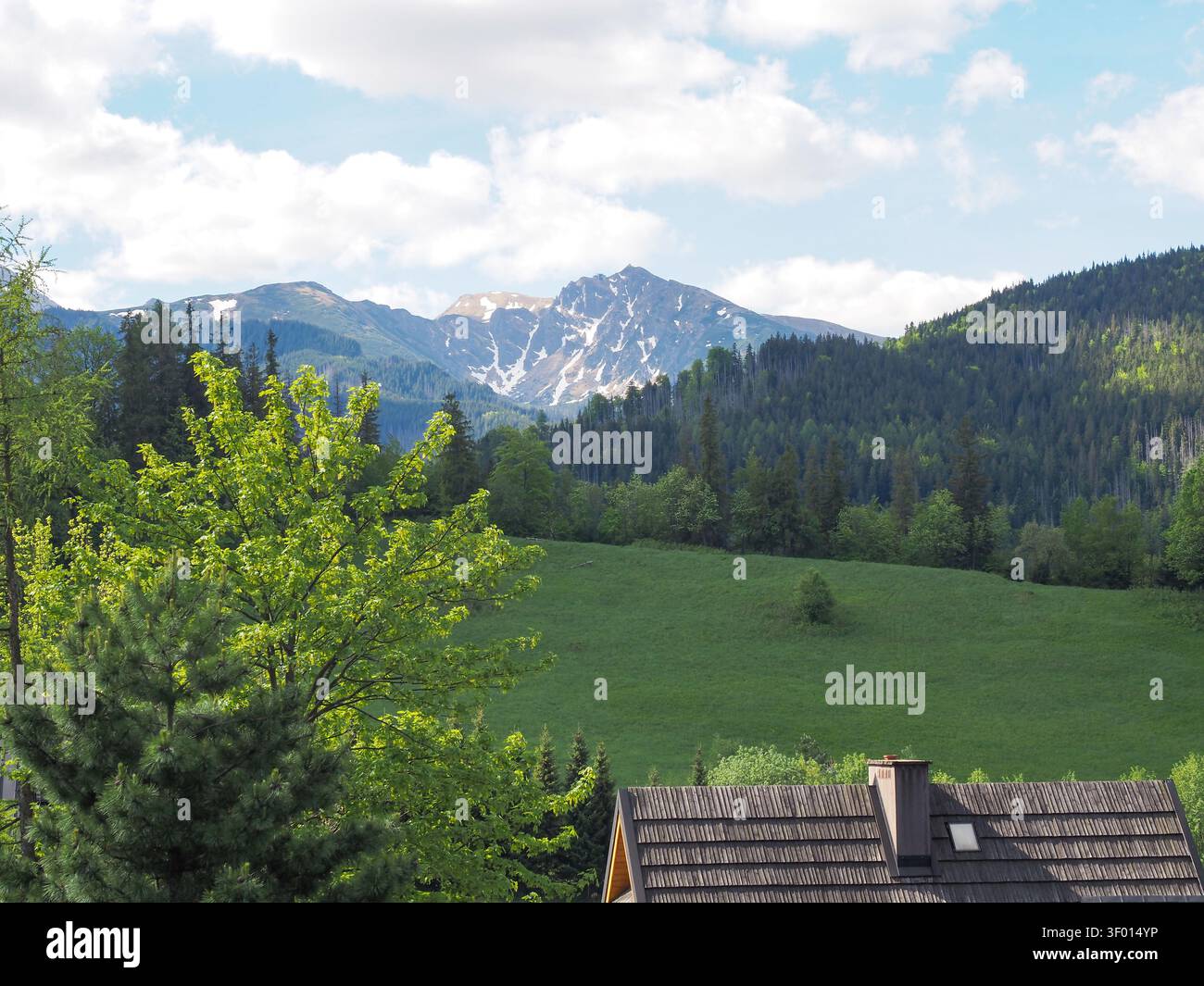 Paesaggio panoramico delle montagne con picco innevato e prato verde a tarda primavera Foto Stock