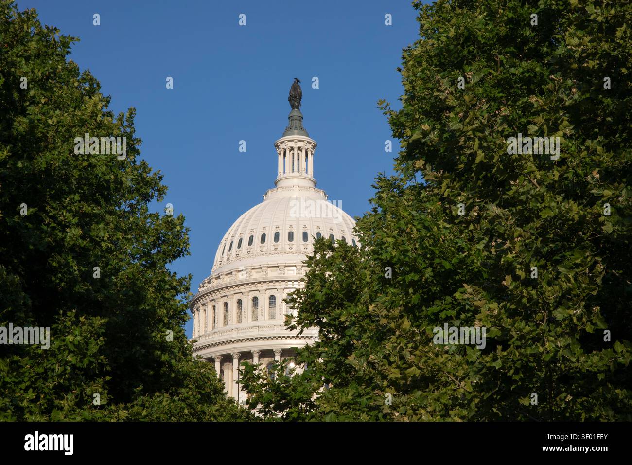 Washington, DC - il Campidoglio degli Stati Uniti. Foto Stock