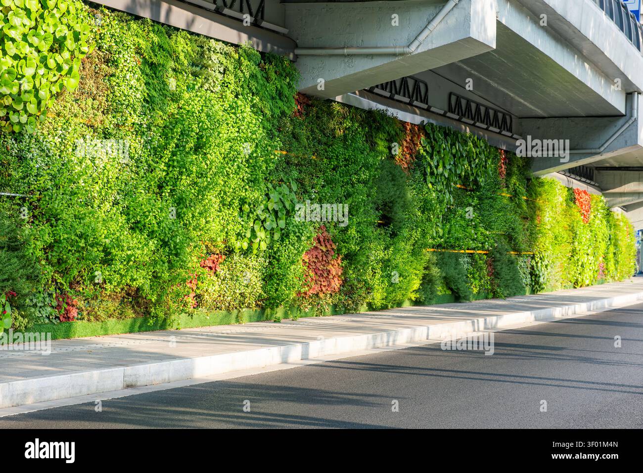 Lussureggiante giardino verticale installato sotto un'autostrada sopraelevata nella città moderna. Muro verde vivente integrato nelle infrastrutture urbane, architettura sostenibile Foto Stock