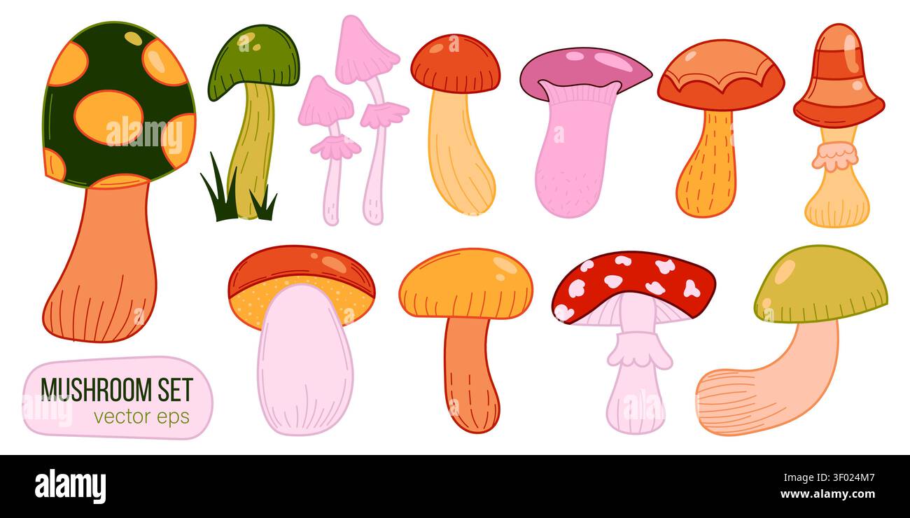 Design della foresta vettoriale con illustrazione dei funghi natura e cibo autunnale isolato. Sfondo vegetale con grafica vettoriale funghi e colorato naturale Illustrazione Vettoriale