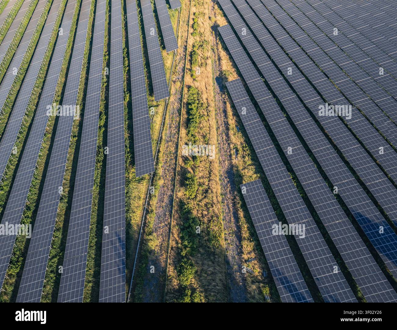 Vista aerea di pannelli fotovoltaici solari che formano file geometriche in un impianto solare a scala di servizi a le Pouzin, Alvernia-Rodano-Alpi, Francia. Foto Stock