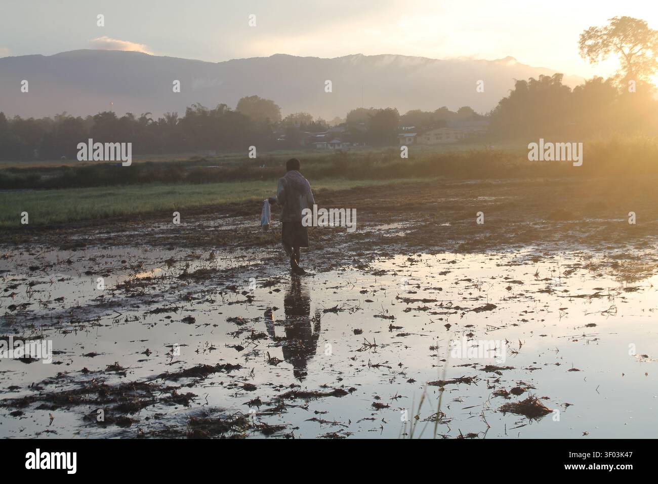 Silhouette di un contadino che cammina attraverso un campo di riso allagato all'alba a Toba, Sumatra settentrionale, Indonesia, con vista sulle montagne. Foto Stock