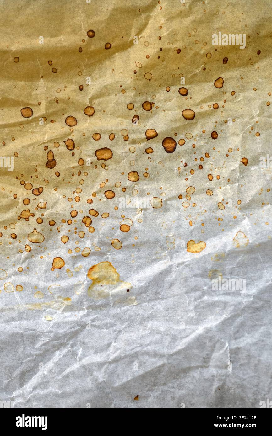 Carta pergamena in polvere con autentiche macchie di caffè e rughe naturali. Sfondo in texture vintage per design grafico, branding ed editoriale Foto Stock