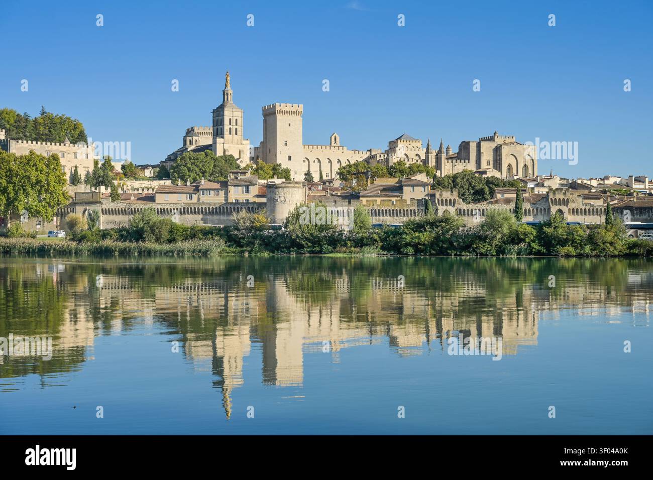 Vista sulla città, città vecchia con Palazzo Papale (Palais des Papes), fiume Rhône, Avignone, Francia Foto Stock