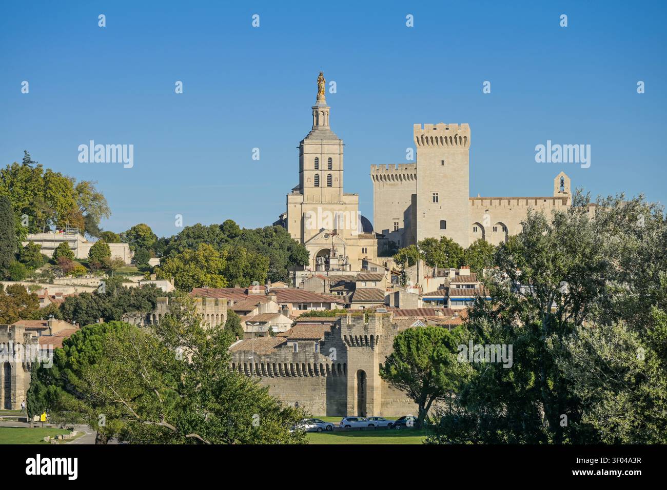 Vista sulla città, città vecchia con Palazzo Papale (Palais des Papes), Avignone, Francia Foto Stock