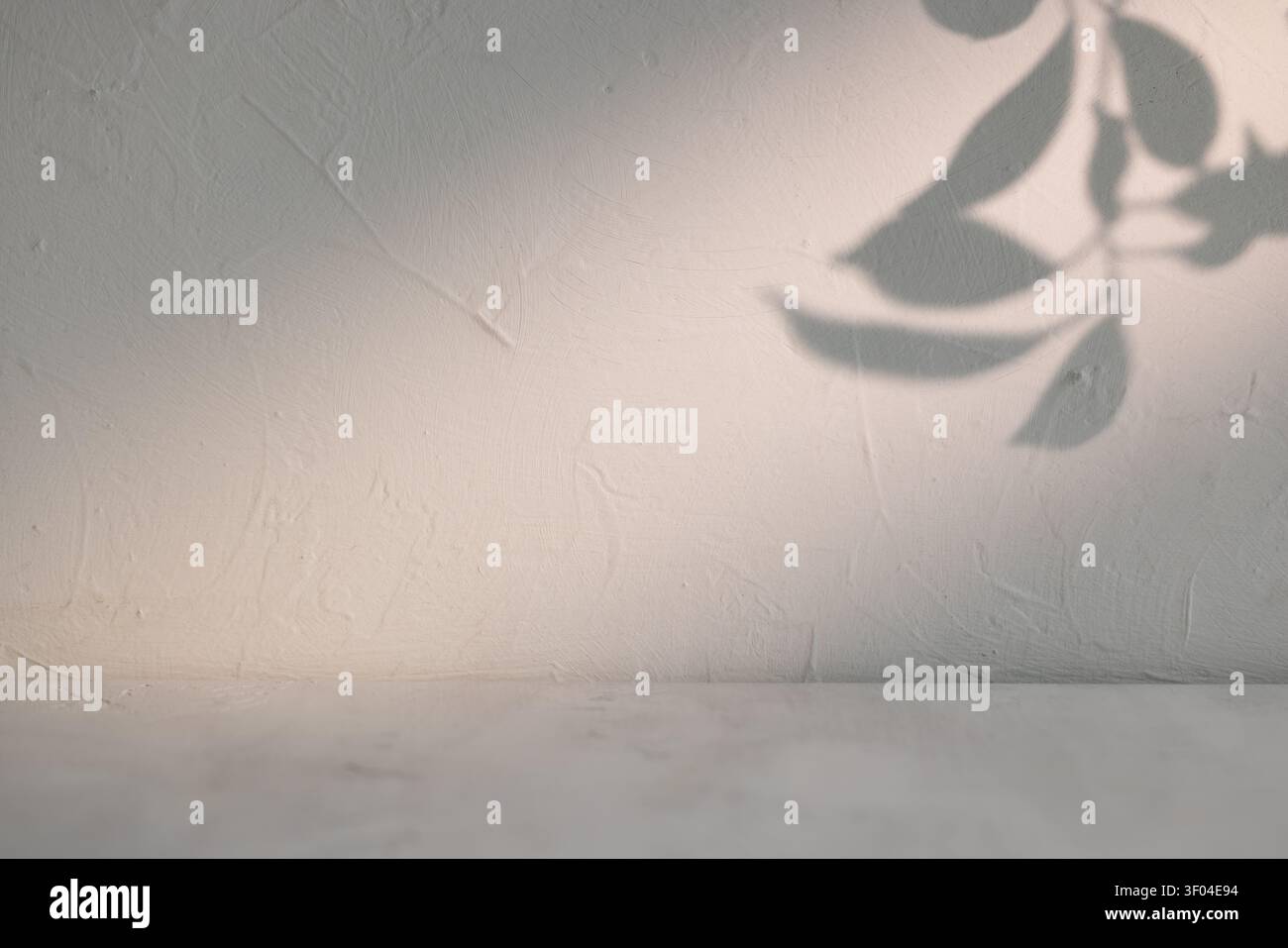 Ombra di piante calde su una vecchia parete con superficie vuota per una scena di mockup naturale Foto Stock