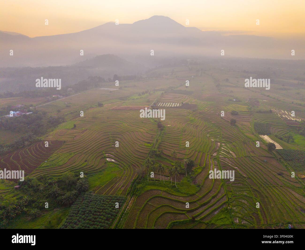 Vista aerea delle risaie a terrazza di Kemumu all'alba con nebbia, lussureggianti campi verdi e lontane montagne in arma Jaya, Bengkulu, Indonesia. Foto Stock