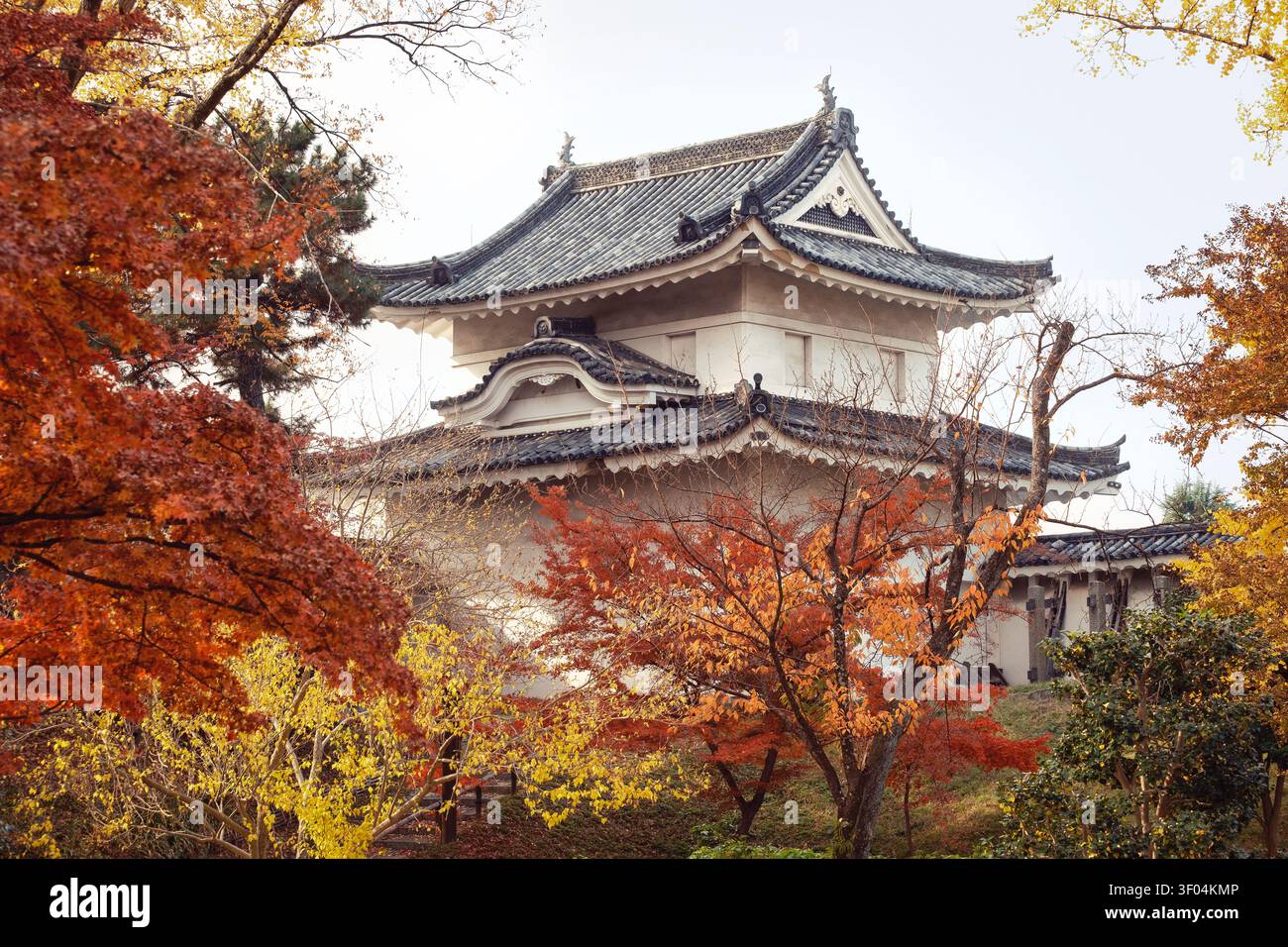 Caldi colori autunnali circondano la torre di guardia sud-est del castello di Nijō a Kyoto, dove strati di foglie rosse, arancioni e gialle incorniciano le mura pallide Foto Stock