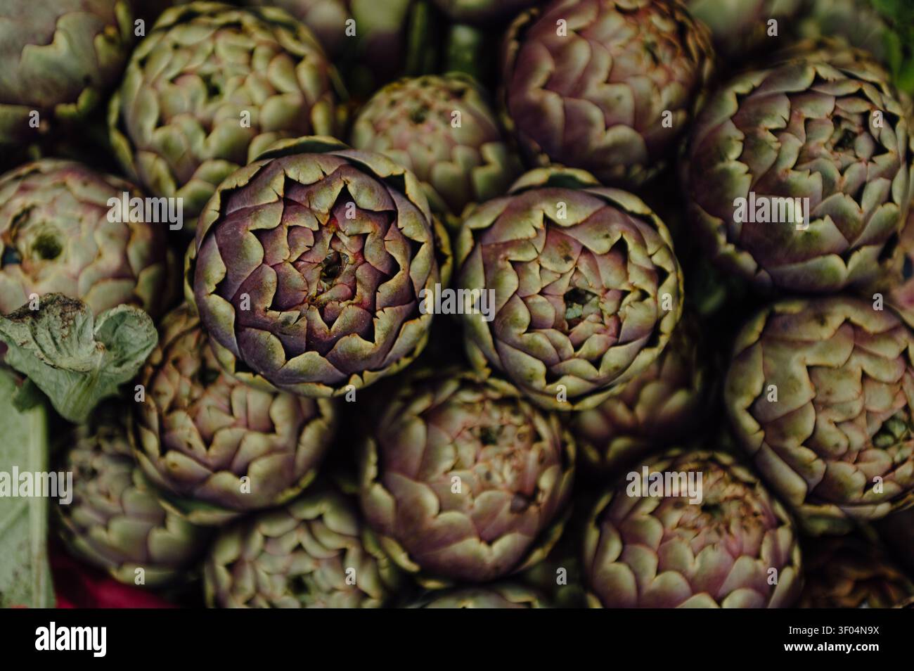 Vista ravvicinata dei carciofi freschi al mercato di campo de' Fiori a Roma Foto Stock