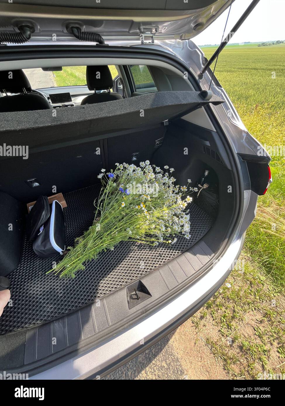 Fotografia estetica estiva: la luce del sole inonda il bagagliaio aperto di un'auto, nel quale si trova un mazzo di erbe di prato e una borsa da viaggio. Atmos - Immagine stock catturata con smartphone