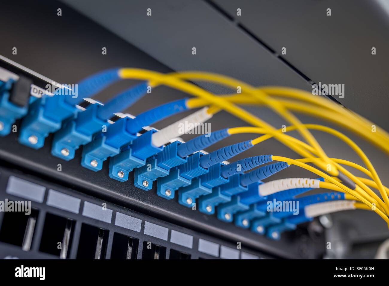 Primo piano di connettori a fibra ottica duplex LC blu inseriti in un pannello di connessione con cavi a fibra monomodo gialli instradati attraverso dati professionali Foto Stock