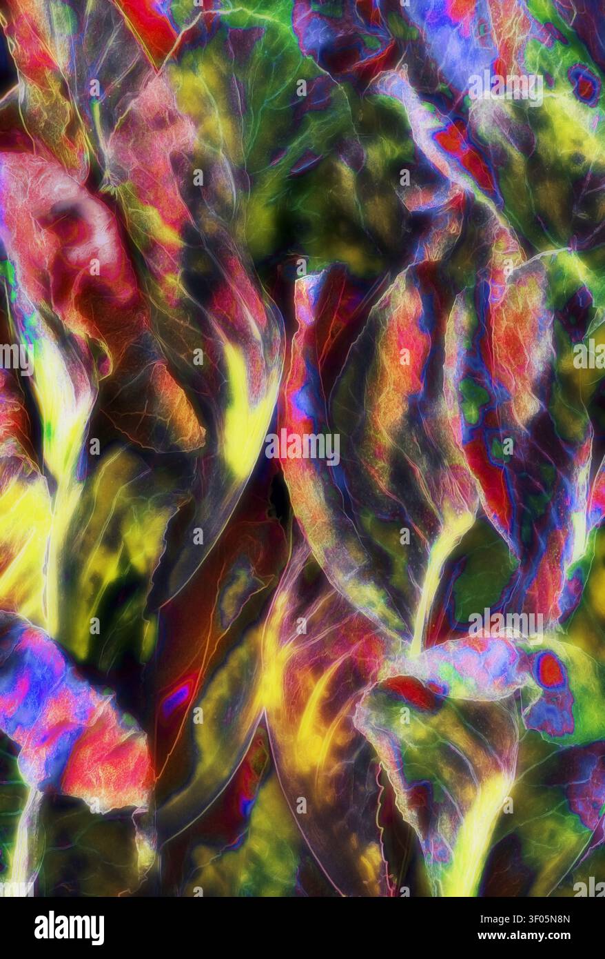 Composizione astratta di foglie colorate e texture botaniche in una disposizione vivace e ripetitiva. Foto Stock