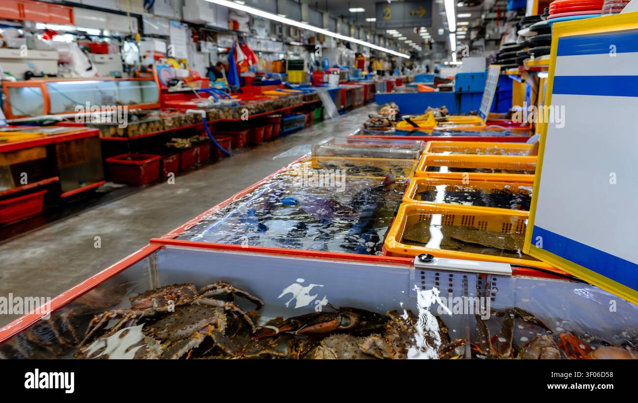 L'interno vivace del mercato di Jagalchi, il più grande mercato di pesce della Corea del Sud, situato a Busan. Il mercato propone pesce fresco nella colorata st Foto Stock