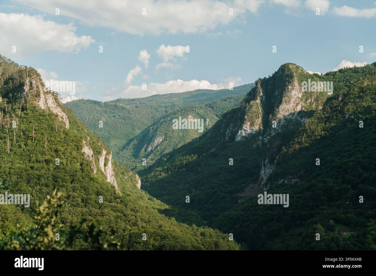 Scogliere calcaree ripide e montagne boschive circondano un profondo canyon sotto un cielo estivo luminoso. Il paesaggio drammatico mostra la bellezza aspra di Foto Stock
