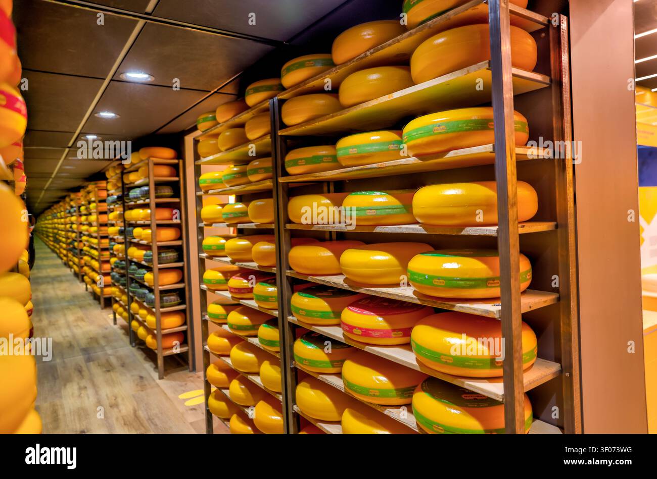 L'esperienza del formaggio di Gouda a Gouda, Paesi Bassi. Foto Stock