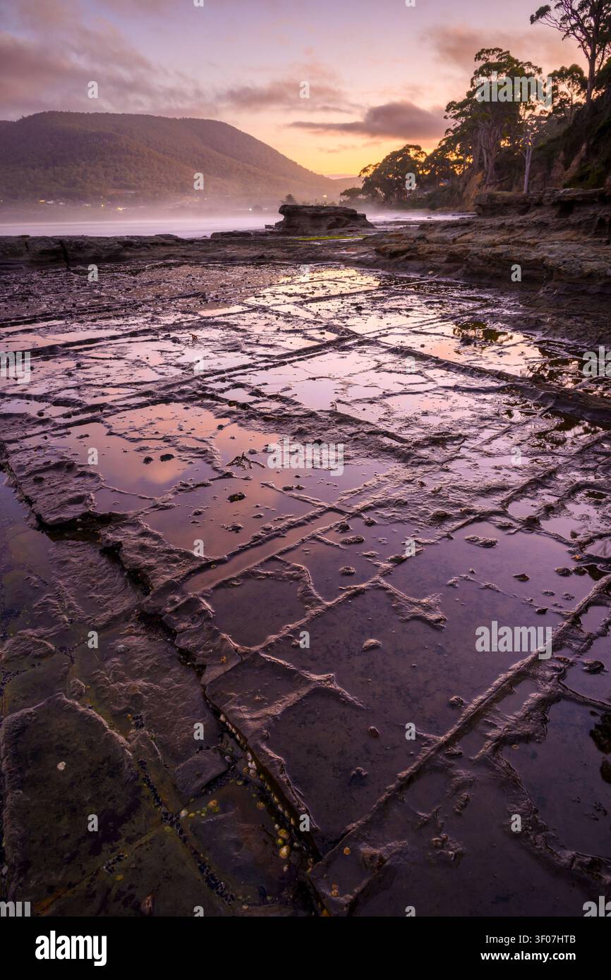 Pavimentazione tessellata a Eaglehawk Neck, Tasmania, Australia. Foto Stock