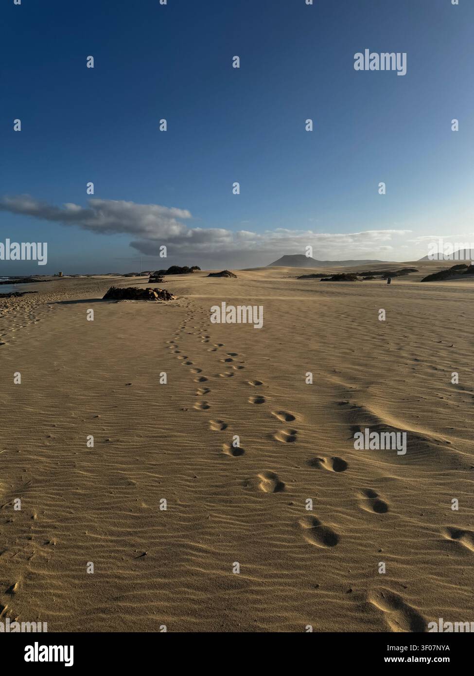 Impronte che si snodano attraverso dune di sabbia dorata verso colline vulcaniche lontane sotto un cielo blu - Isole Canarie, Fuerteventura, Parco delle Dune di Corralejo Foto Stock