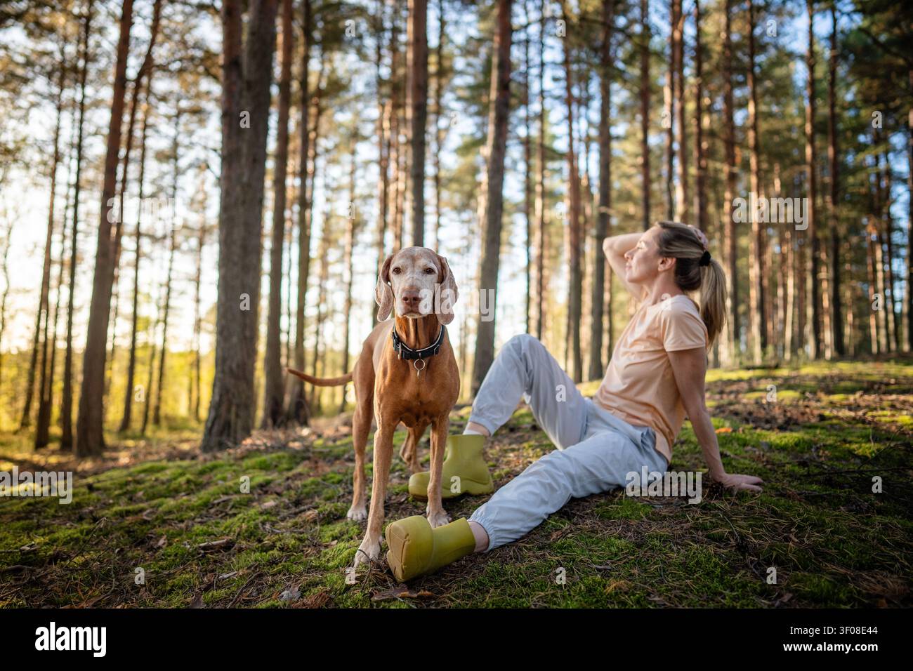 Donna positiva e pacifica che fa un bagno nel bosco, trascorrendo del tempo all'aria aperta con il cane domestico. Foto Stock