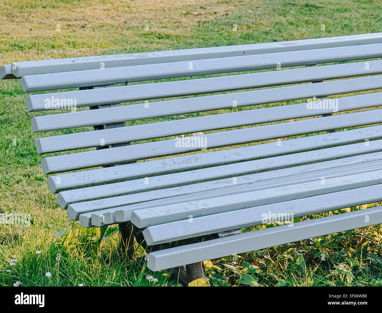 Primo piano di una panchina in legno bianca circondata da erba verde alla luce del giorno. Una scena all'aperto pulita ideale per temi di relax, parchi pubblici Foto Stock
