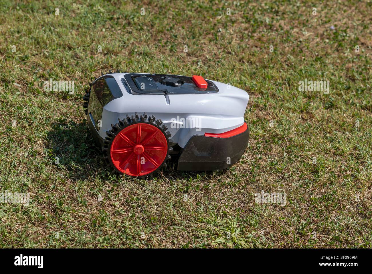 Un robot tagliaerba che lavora su un prato in estate, con erba bruciata Foto Stock