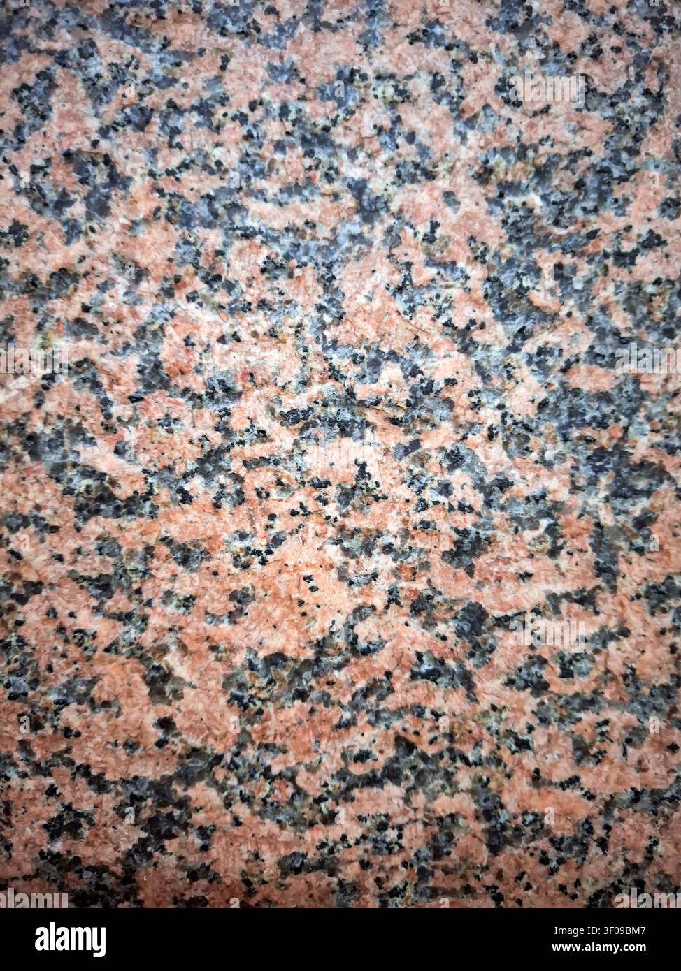 Questa affascinante presentazione mostra la texture intricata del marmo rosa grigio, evidenziando i suoi modelli e colori unici. Perfetto per il design degli interni Foto Stock