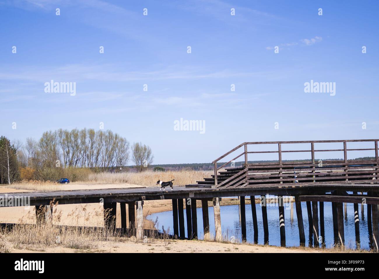 Spiaggia vuota sul lago con passeggiata del cane su molo di legno sotto un cielo luminoso. Atmosfera tranquilla fuori stagione nella località turistica del bacino di Siemianowka, Polonia. Concetto di Foto Stock
