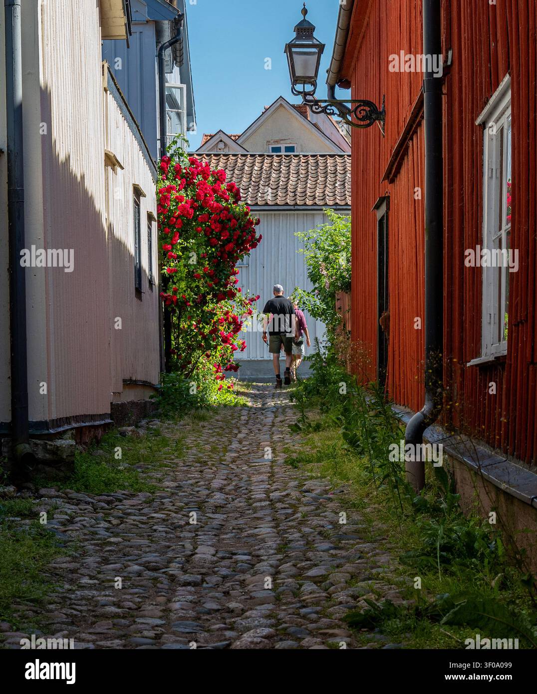 Idilliaca Vadstena in una giornata estiva soleggiata in Svezia nel luglio 2026. Vadstena è una piccola città storica nota per il suo castello e il suo monastero. Foto Stock