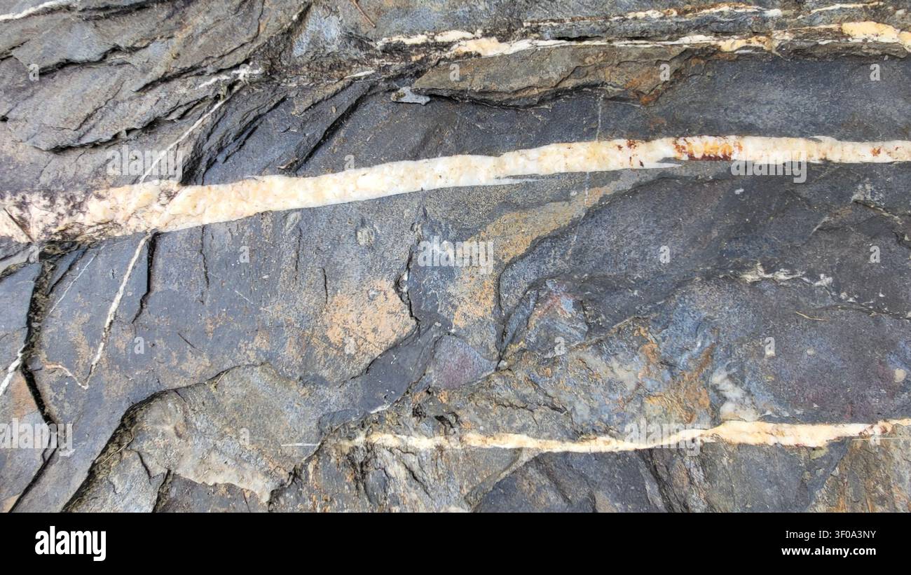 Primo piano di una roccia grigia ruvida con una vena minerale bianca naturale nella natura svizzera Foto Stock
