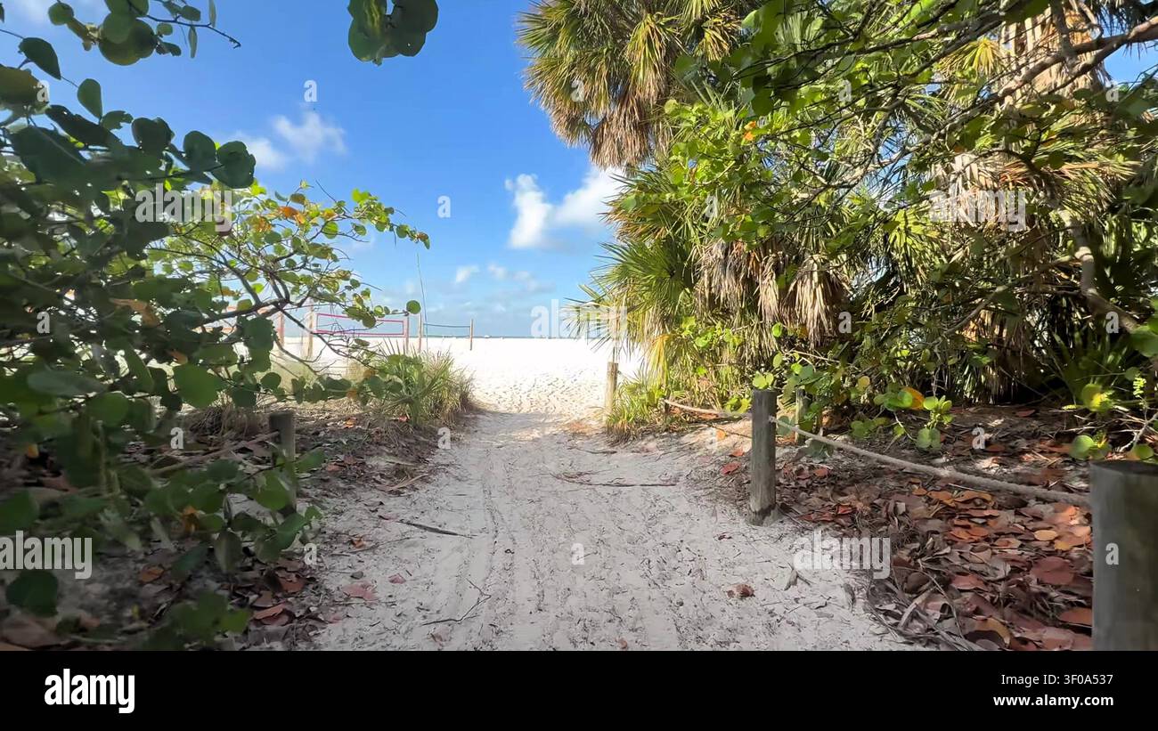 Un sentiero pedonale sabbioso delimitato da cespugli di uva di mare verdi e palme conduce verso la spiaggia di sabbia bianca brillante in Florida. Foto Stock