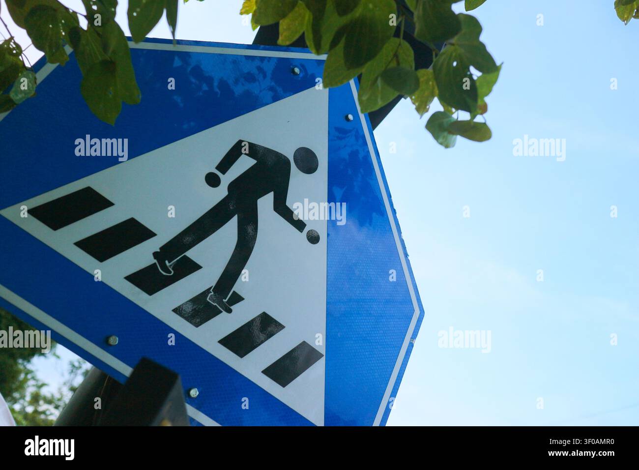 Segnale stradale blu per attraversamento pedonale posizionato sotto la chioma degli alberi verdi contro un cielo sereno per pubblicazione editoriale comunale e sicurezza stradale. Foto Stock