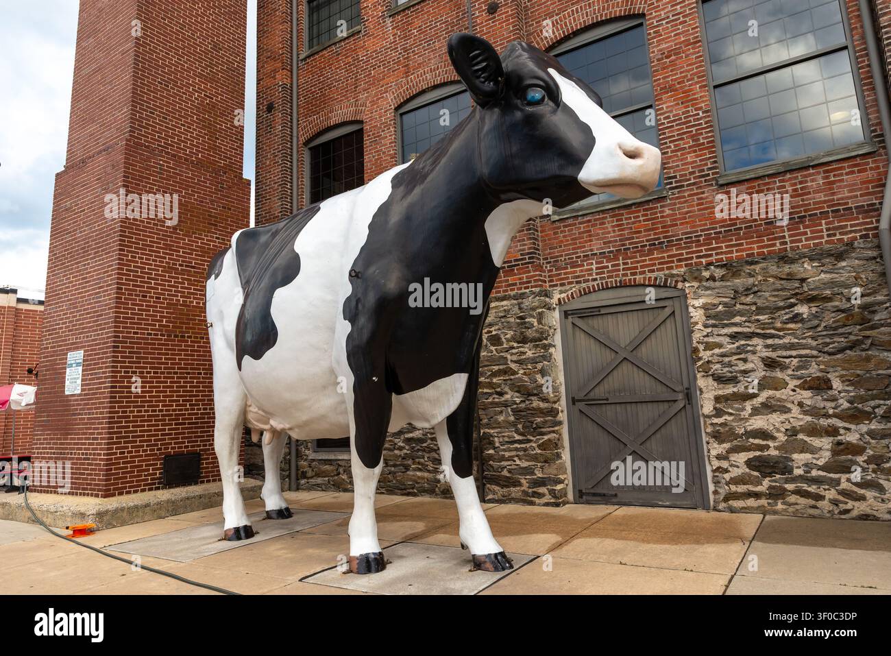 Statua gigante in fibra di vetro di una mucca fuori dal Turkey Hill Experience a Columbia, Pennsylvania. Foto Stock