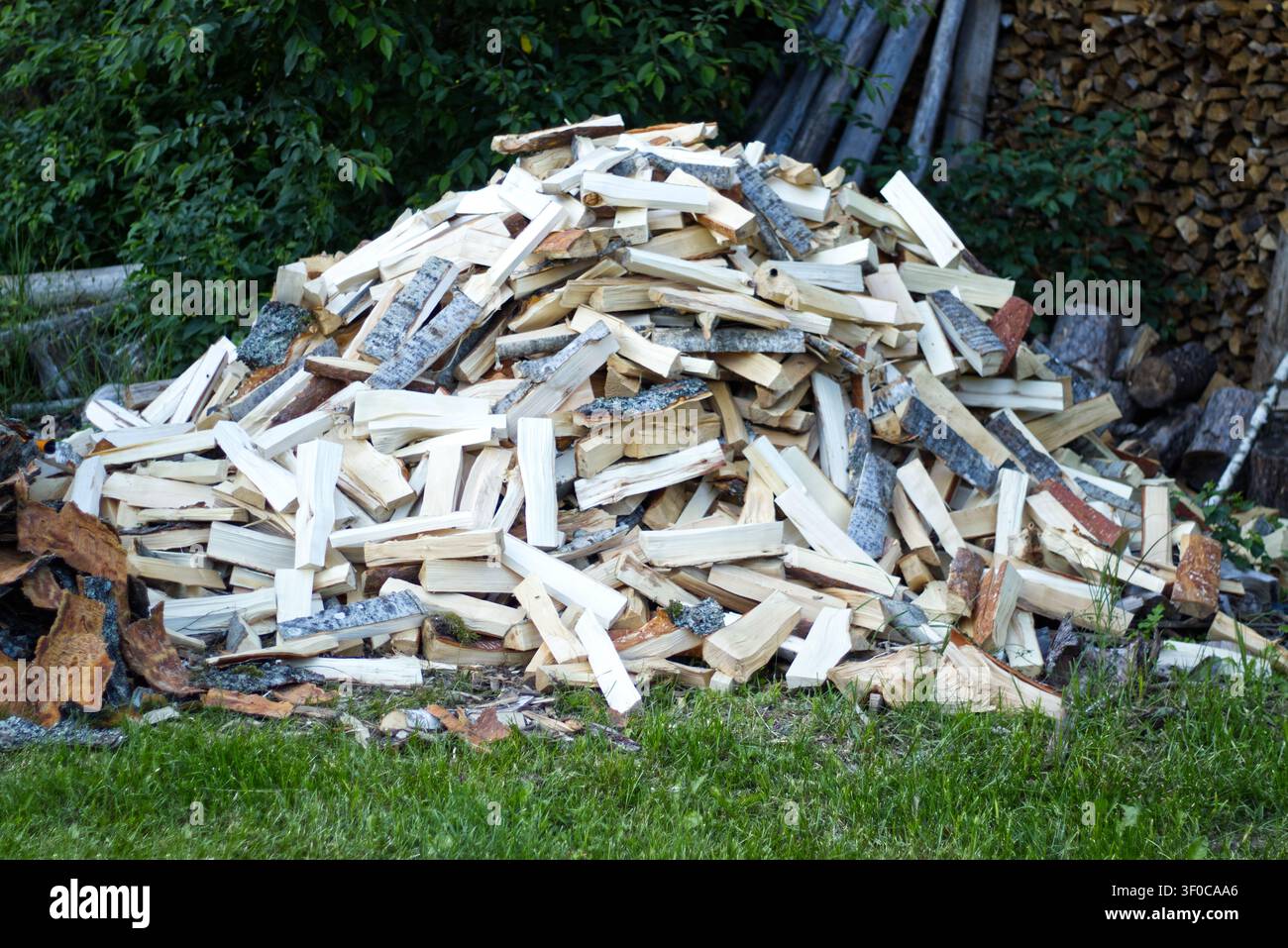 Mucchio di legna da ardere tagliata sull'erba nel cortile Foto Stock