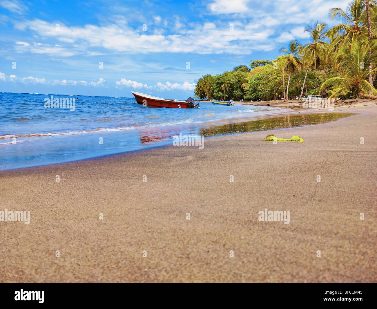 Spiaggia tropicale caraibica, Manzanillo, Costa Rica Foto Stock