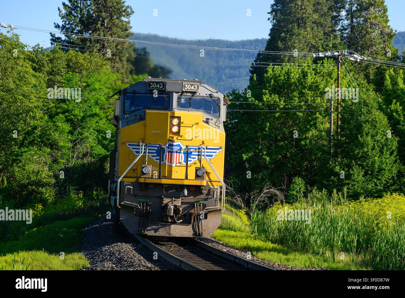 Mount Shasta, CA, USA – 22 giugno 2026; locomotiva diesel merci Union Pacific con logo che passa davanti ad alberi verdi nella California settentrionale Foto Stock